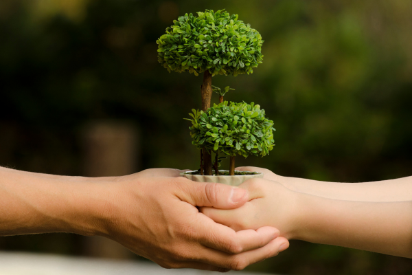 Imagens Blog Saber Parental 7